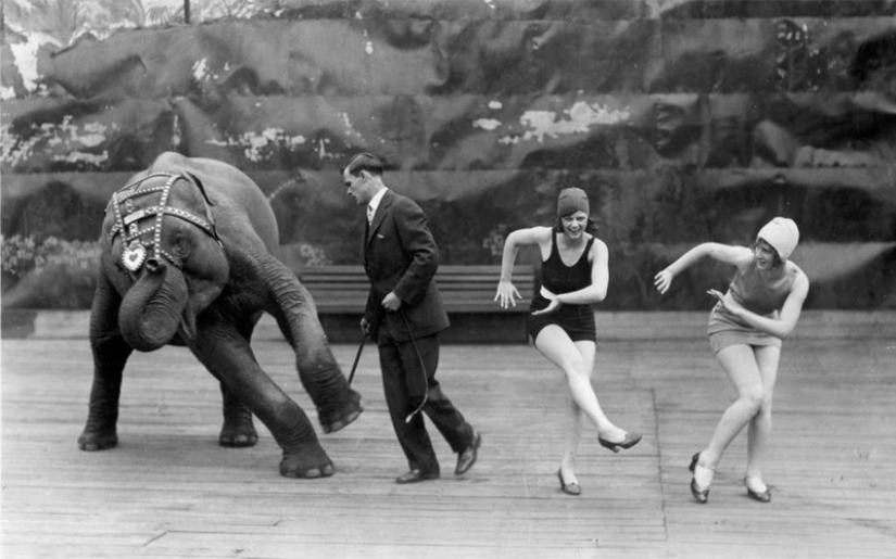 Simple movements: twerk, waltz and other most depraved dances of the world