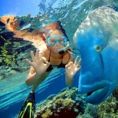 Sinai syndrome - Dahab, an amazing place for wintering