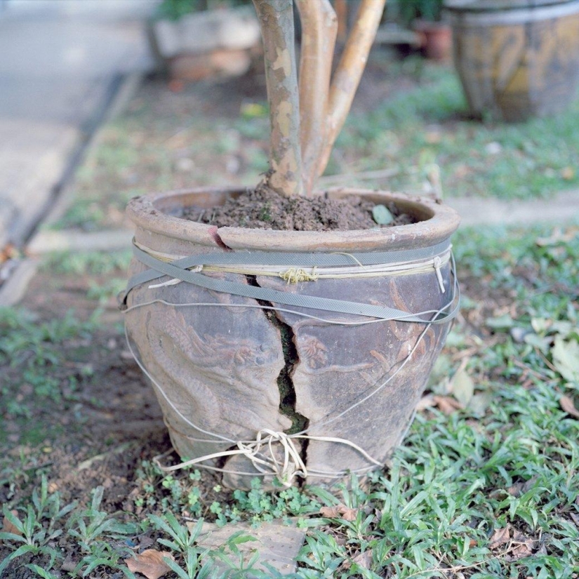"Singapur": Zonas para dormir de la ciudad más brillante de Asia "Singapur": Zonas para dormir de la ciudad más brillante de Asia