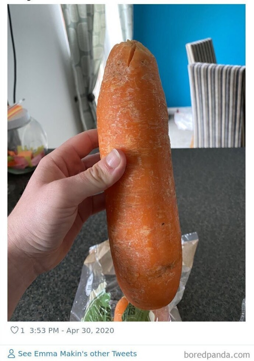 Size matters! 30+ examples, when couriers brought the giant fruits and vegetables Size matters! 30+ examples, when couriers brought the giant fruits and vegetables