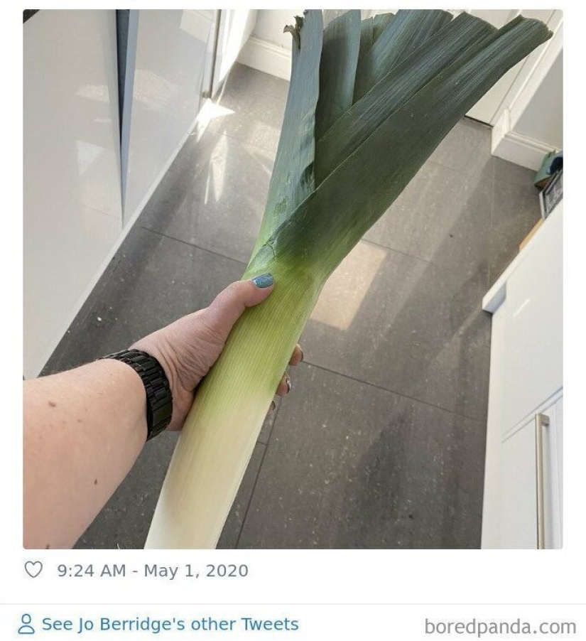 Size matters! 30+ examples, when couriers brought the giant fruits and vegetables Size matters! 30+ examples, when couriers brought the giant fruits and vegetables