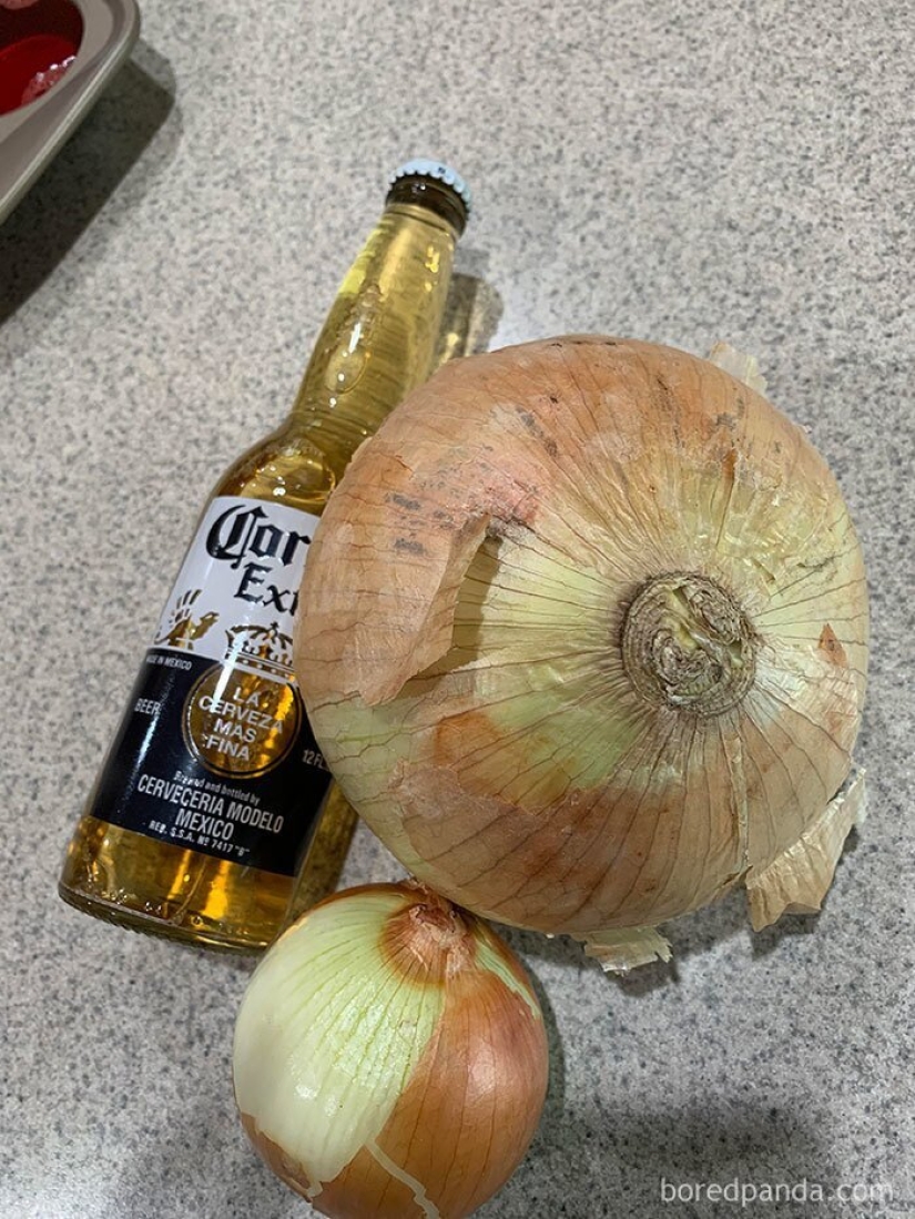 Size matters! 30+ examples, when couriers brought the giant fruits and vegetables Size matters! 30+ examples, when couriers brought the giant fruits and vegetables