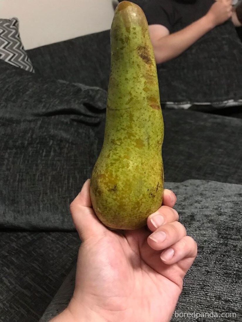 Size matters! 30+ examples, when couriers brought the giant fruits and vegetables Size matters! 30+ examples, when couriers brought the giant fruits and vegetables