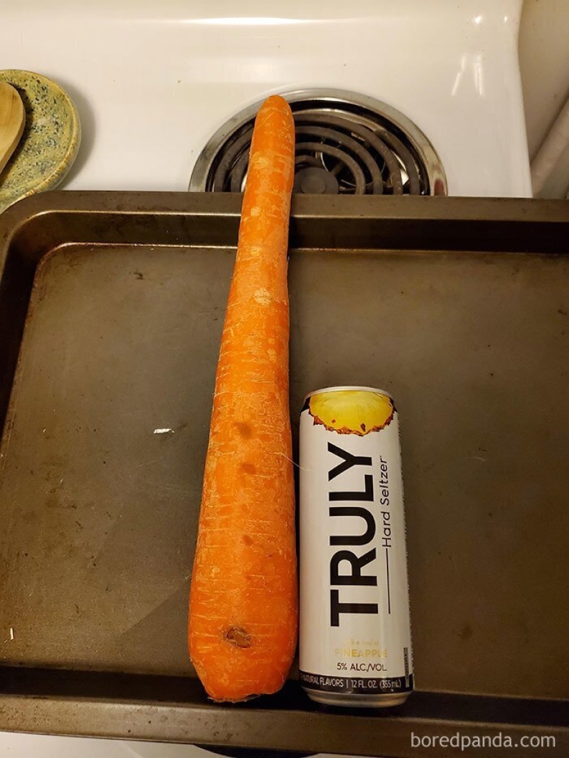 Size matters! 30+ examples, when couriers brought the giant fruits and vegetables Size matters! 30+ examples, when couriers brought the giant fruits and vegetables