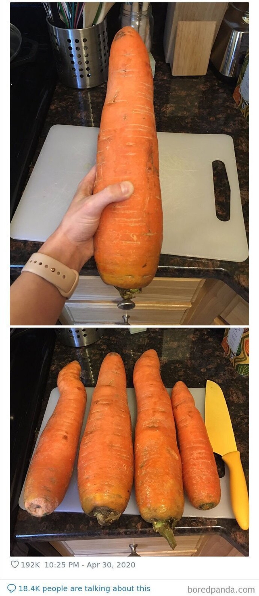 Size matters! 30+ examples, when couriers brought the giant fruits and vegetables Size matters! 30+ examples, when couriers brought the giant fruits and vegetables