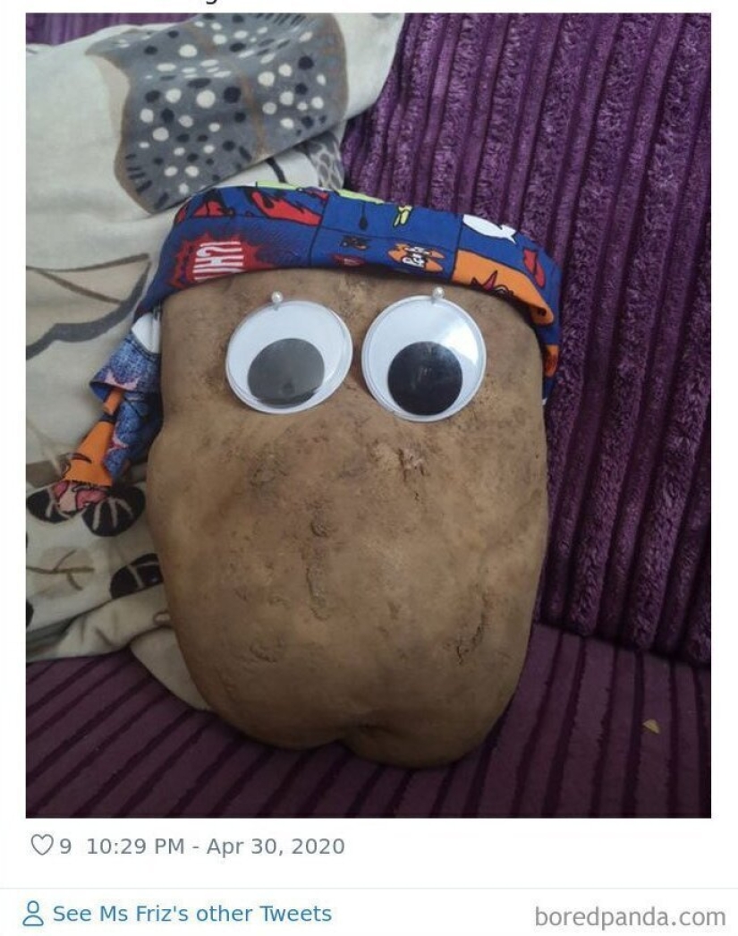 Size matters! 30+ examples, when couriers brought the giant fruits and vegetables Size matters! 30+ examples, when couriers brought the giant fruits and vegetables