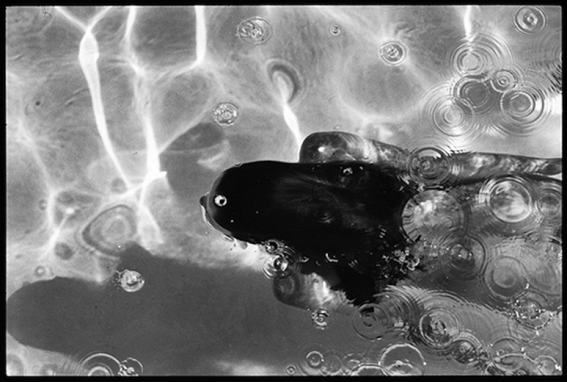 Skinny dipping: la belleza del cuerpo desnudo por Deanna Templeton Skinny dipping: la belleza del cuerpo desnudo por Deanna Templeton