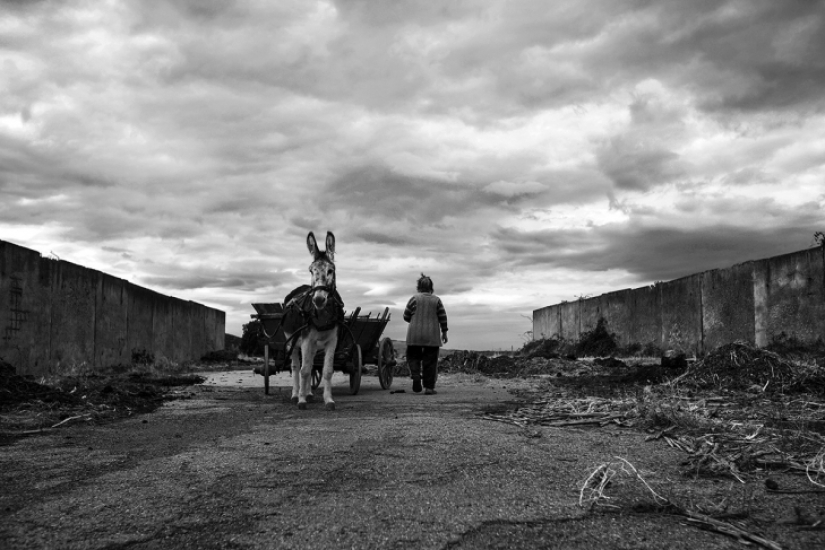 Soledad en Búlgaro Soledad en Búlgaro