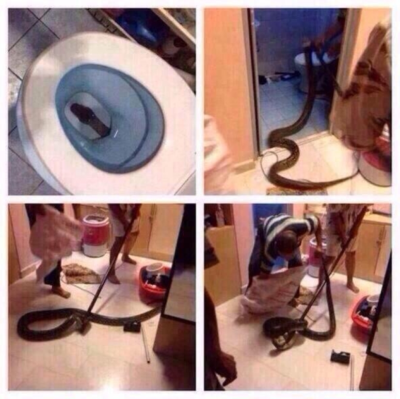 Some kind of tin is happening in these photos