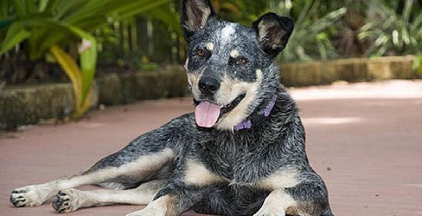 Sometimes they come back Sometimes they come back