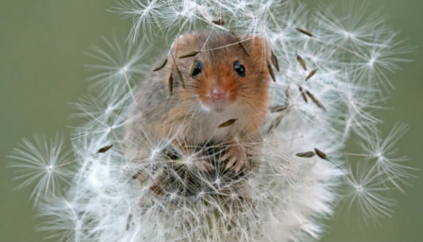 Sony World Photography Awards Finalists named: Best Photos of 2018