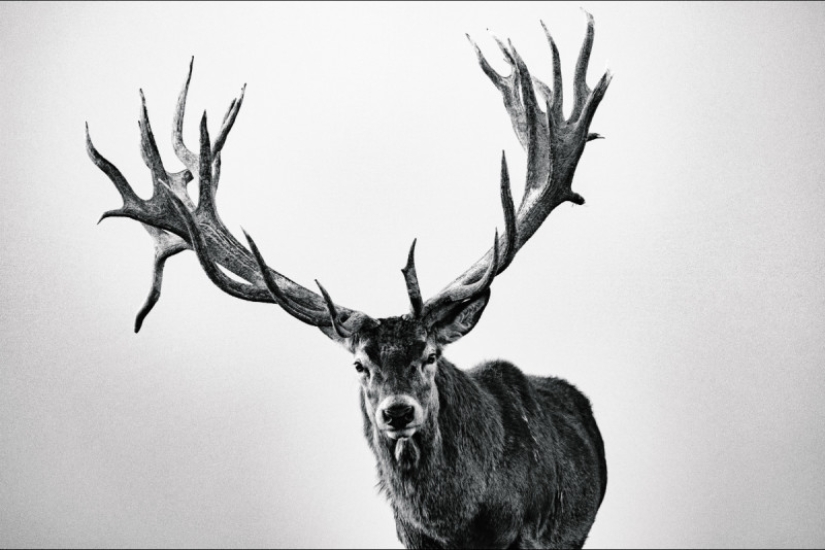 Sony World Photography Awards Finalists named: Best Photos of 2018