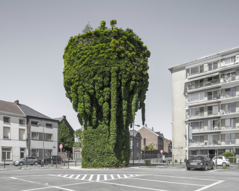 Sony World Photography Awards Finalists named: Best Photos of 2018