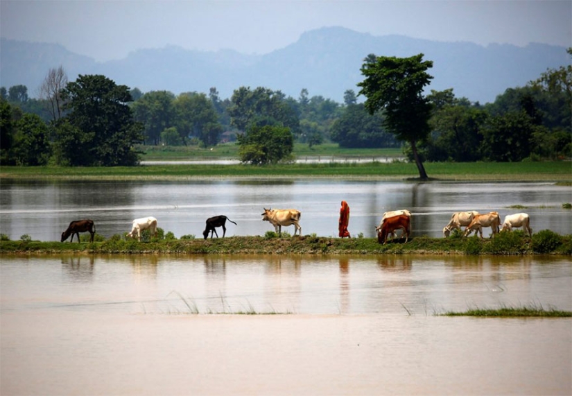 South Asia has the worst flooding in a decade, but no one is talking about it