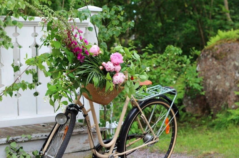 Sport and life: where to store a bicycle in a small apartment