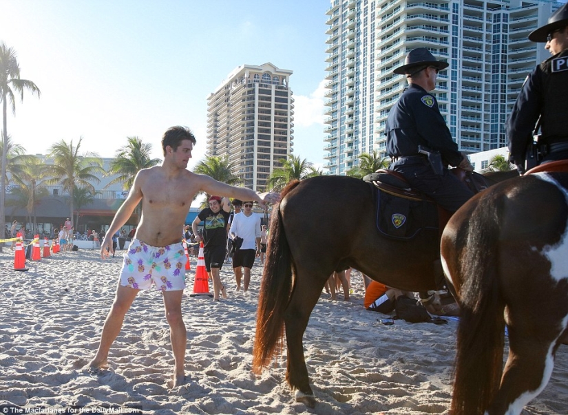 "Spring is coming, make way for spring!": student drunken parties in the USA "Spring is coming, make way for spring!": student drunken parties in the USA