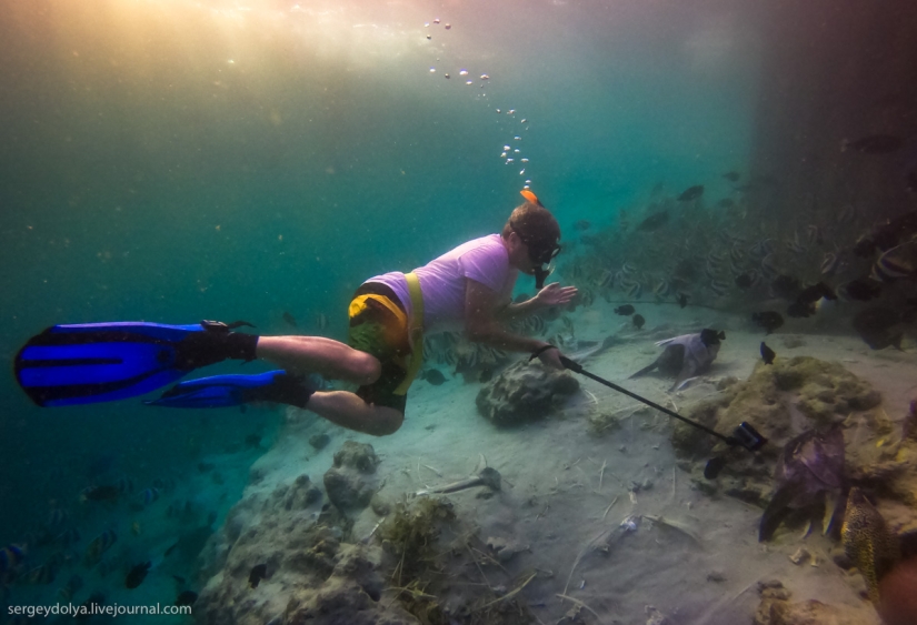 Steel aqualungs: how we swam with moray eels