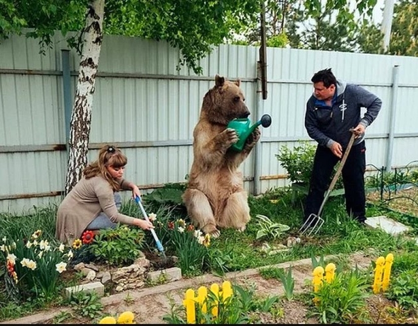 Stepan el Oso es la encarnación viva de los estereotipos sobre Rusia