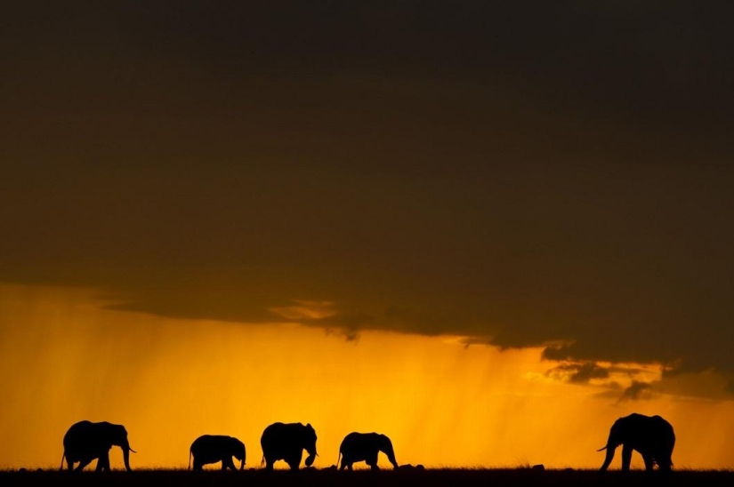 Stunning African sunsets by Paul Goldstein