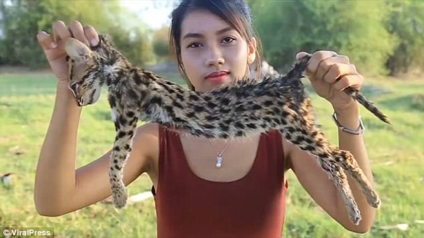 "Subscribe to the channel! Click on the bell!": a Cambodian woman ate rare animals on camera for the sake of earning money on YouTube