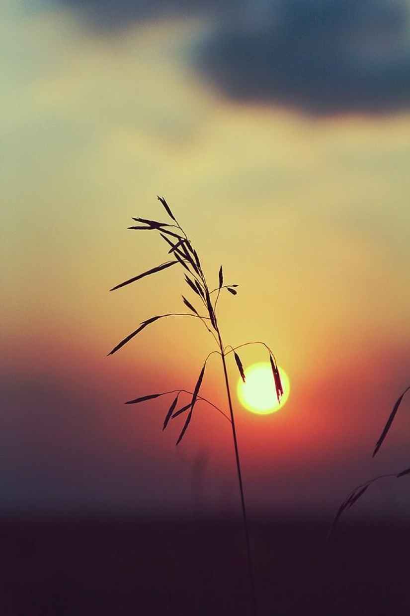 Sunrises, sunsets. Where am I, where are you Sunrises, sunsets. Where am I, where are you