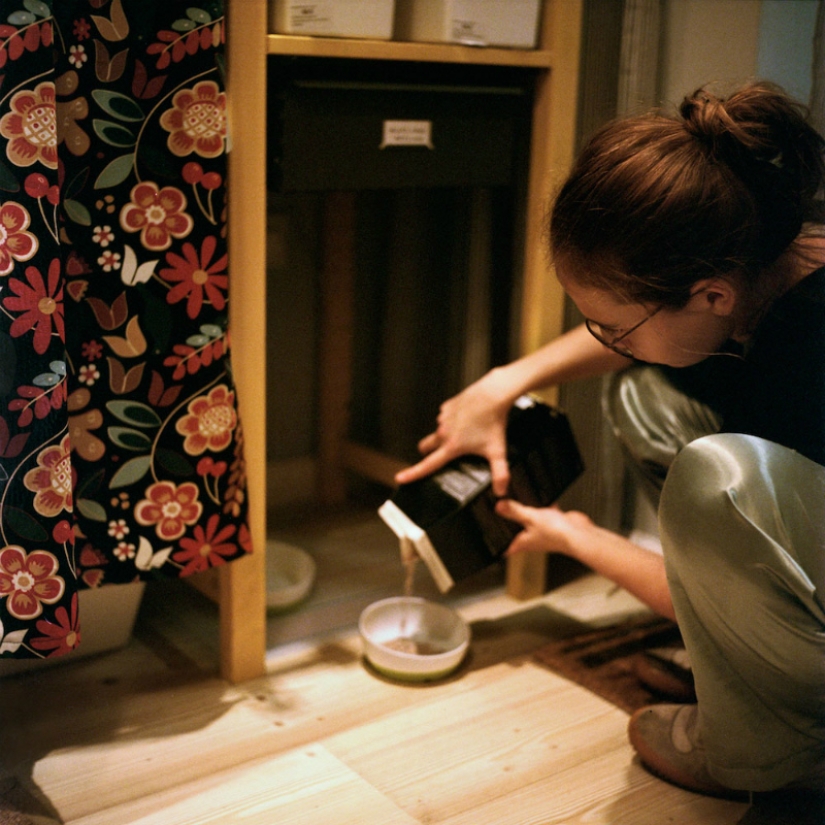 Swedish meatballs in bed: photographer spent 3 weeks in IKEA stores Swedish meatballs in bed: photographer spent 3 weeks in IKEA stores