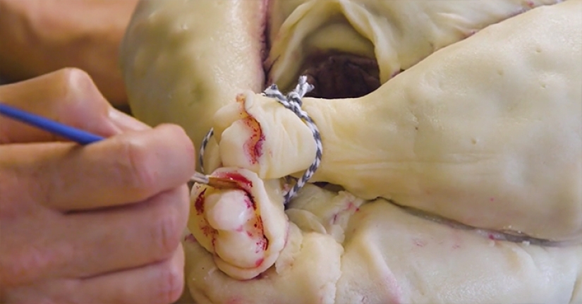 Sweet deception: pastry chef Sarah Hardy baked a cake in the form of a raw turkey Sweet deception: pastry chef Sarah Hardy baked a cake in the form of a raw turkey