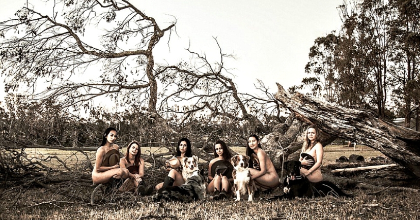 Sydney University students undressed for charity calendar
