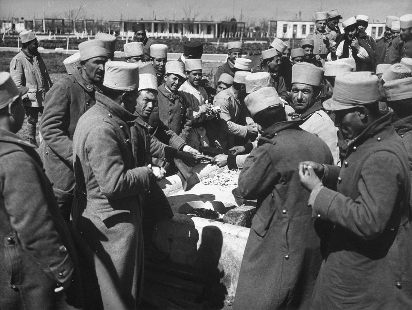 Syria during the Second World War Syria during the Second World War