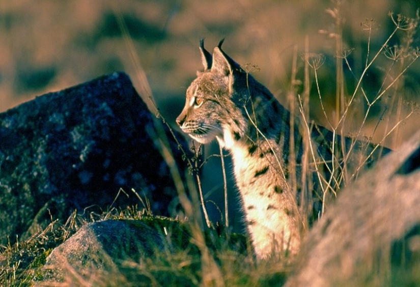 Taganay — Mother Mountain