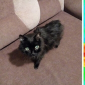 Take care of your family and warmth! How familiar things look through a thermal imager