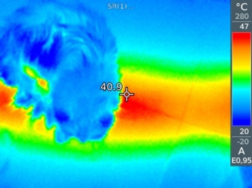 Take care of your family and warmth! How familiar things look through a thermal imager Take care of your family and warmth! How familiar things look through a thermal imager