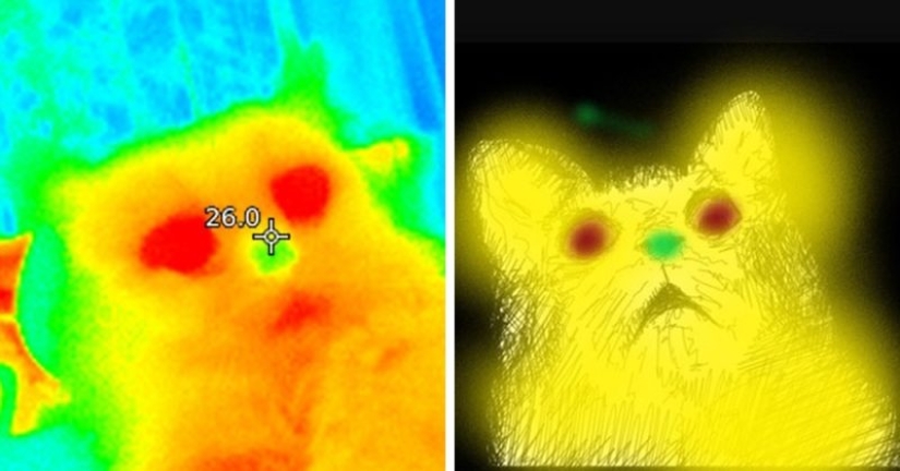Take care of your family and warmth! How familiar things look through a thermal imager Take care of your family and warmth! How familiar things look through a thermal imager