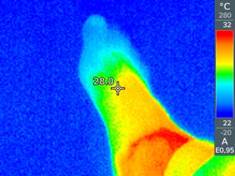 Take care of your family and warmth! How familiar things look through a thermal imager