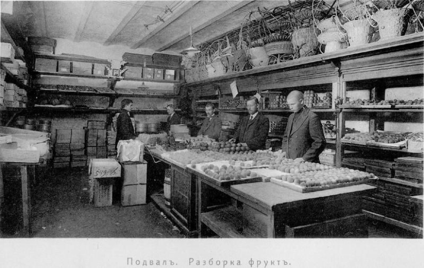 Tasty trade Empire Eliseev