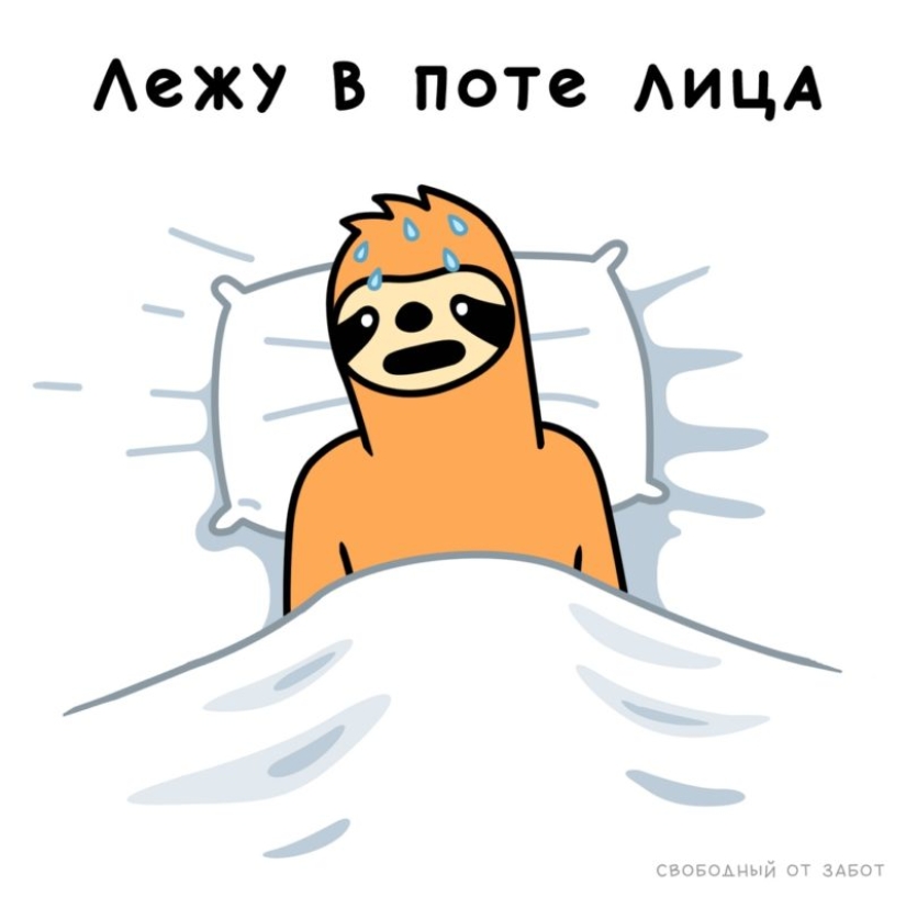 ¿Te reconoces? El autor del meme sobre el perezoso naranja continúa deleitándose con sus obras sobre la pereza materna ¿Te reconoces? El autor del meme sobre el perezoso naranja continúa deleitándose con sus obras sobre la pereza materna