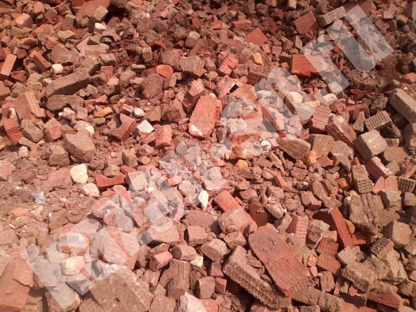 Terms of decomposition of garbage in photos