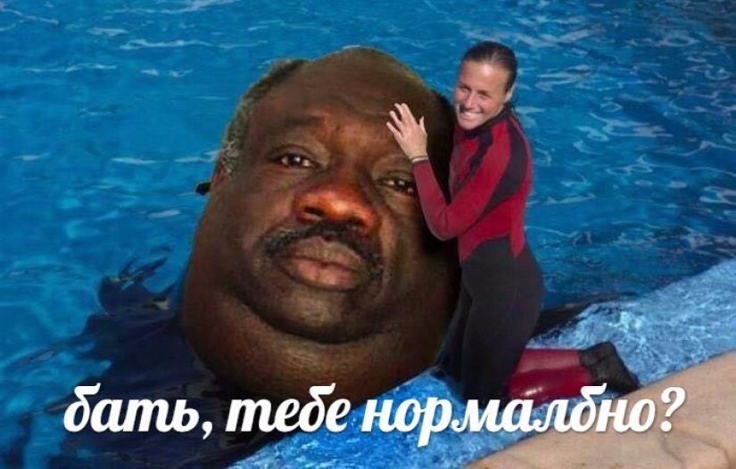 "Terrible memes" are conquering the Internet: not everyone will be able to understand this humor