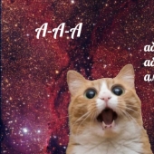 "Terrible memes" are conquering the Internet: not everyone will be able to understand this humor