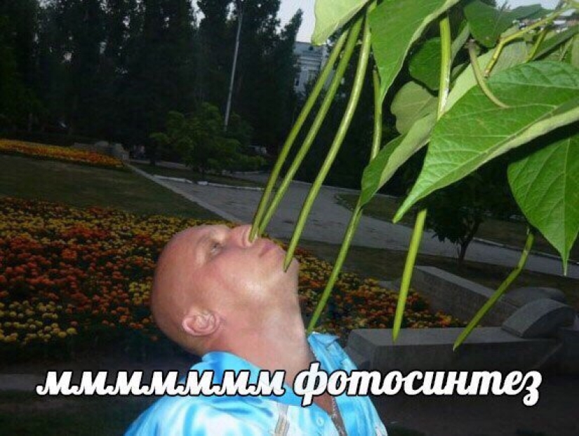 "Terrible memes" are conquering the Internet: not everyone will be able to understand this humor