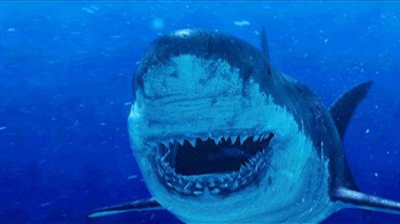 Thank God they're extinct! 25 terrible creatures that once inhabited the Earth