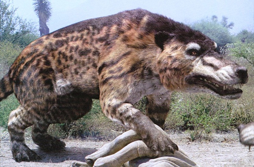 Thank God they're extinct! 25 terrible creatures that once inhabited the Earth