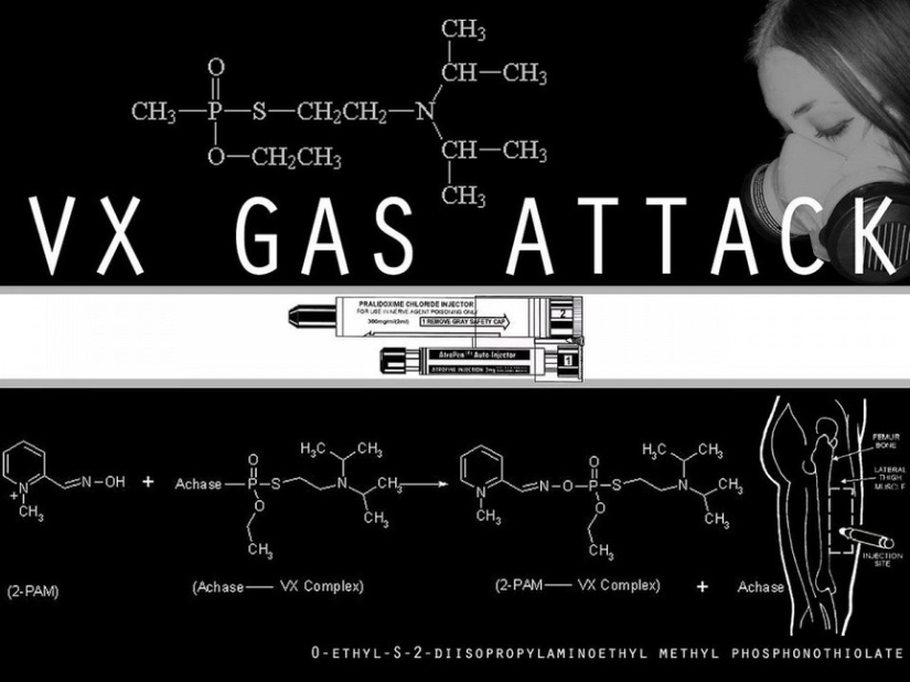 The 10 most powerful poisons The 10 most powerful poisons