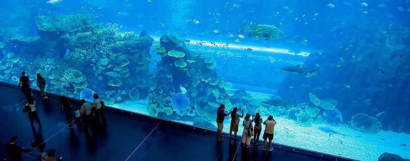 The 10 most striking structures of the UAE The 10 most striking structures of the UAE