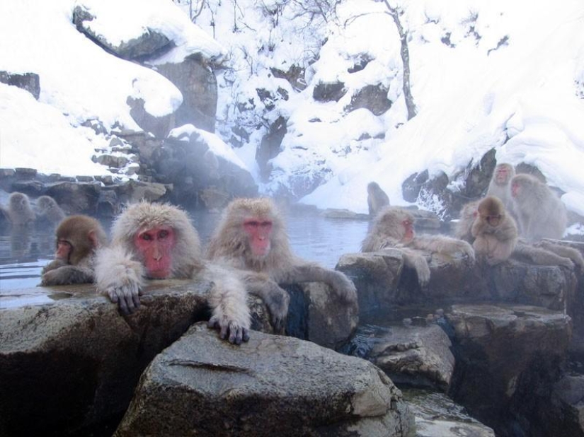 The 20 best hot springs from around the world The 20 best hot springs from around the world