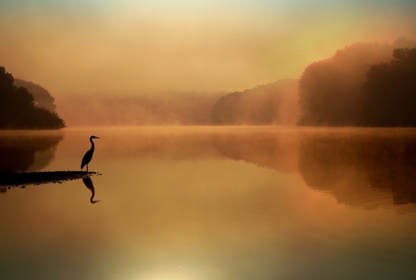 The 20 best pictures taken at dawn