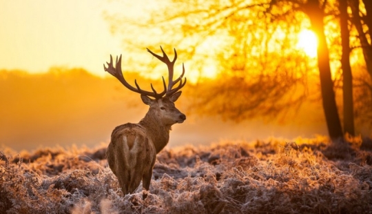 The 20 best pictures taken at dawn The 20 best pictures taken at dawn