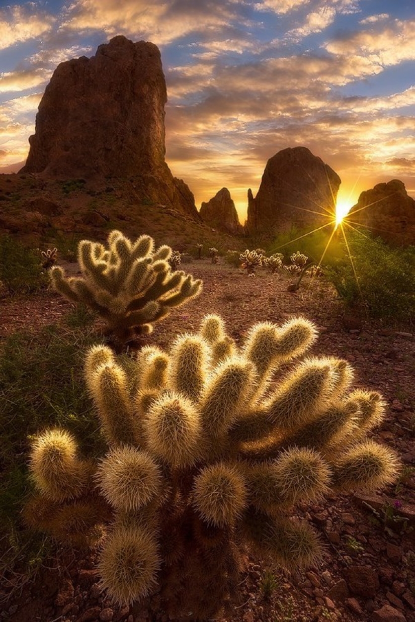 The 20 best pictures taken at dawn