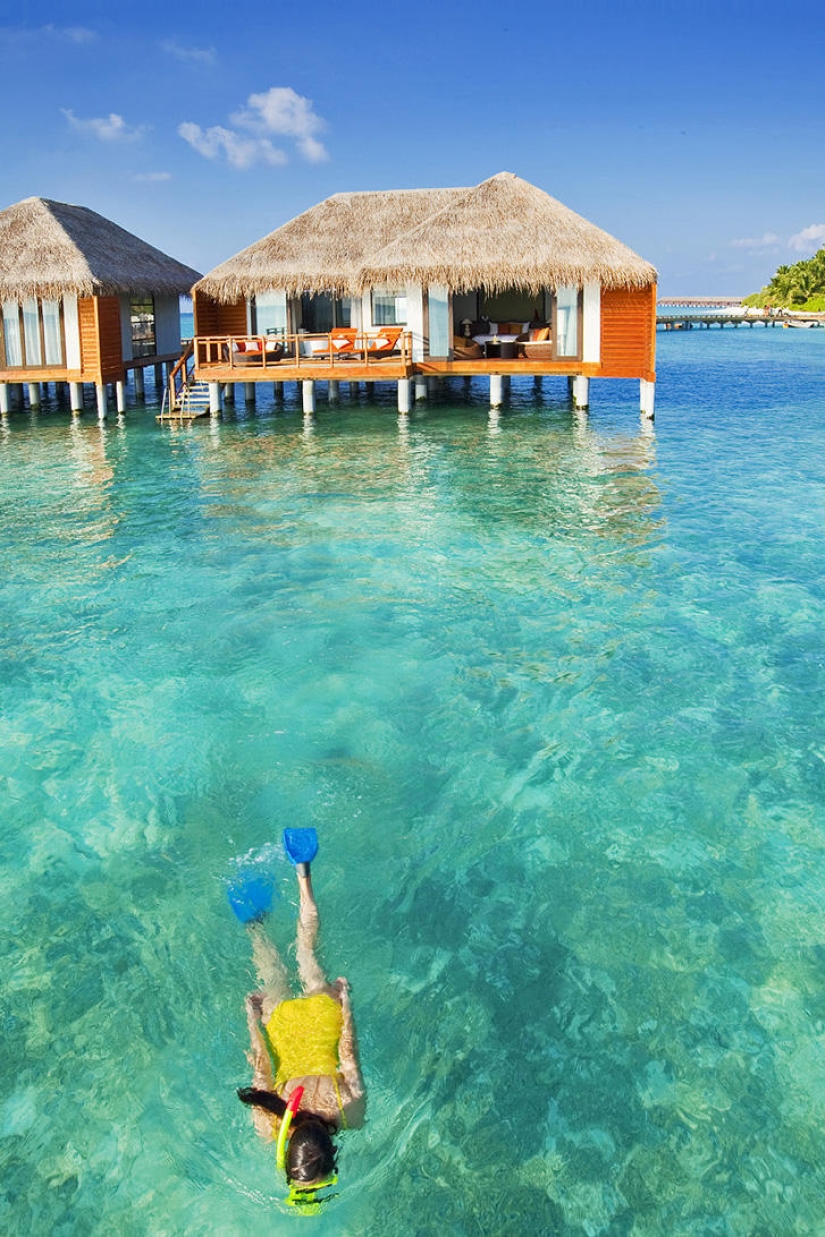 The 25 best places to snorkel The 25 best places to snorkel