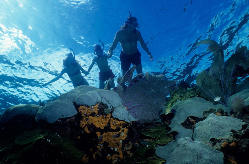 The 25 best places to snorkel The 25 best places to snorkel